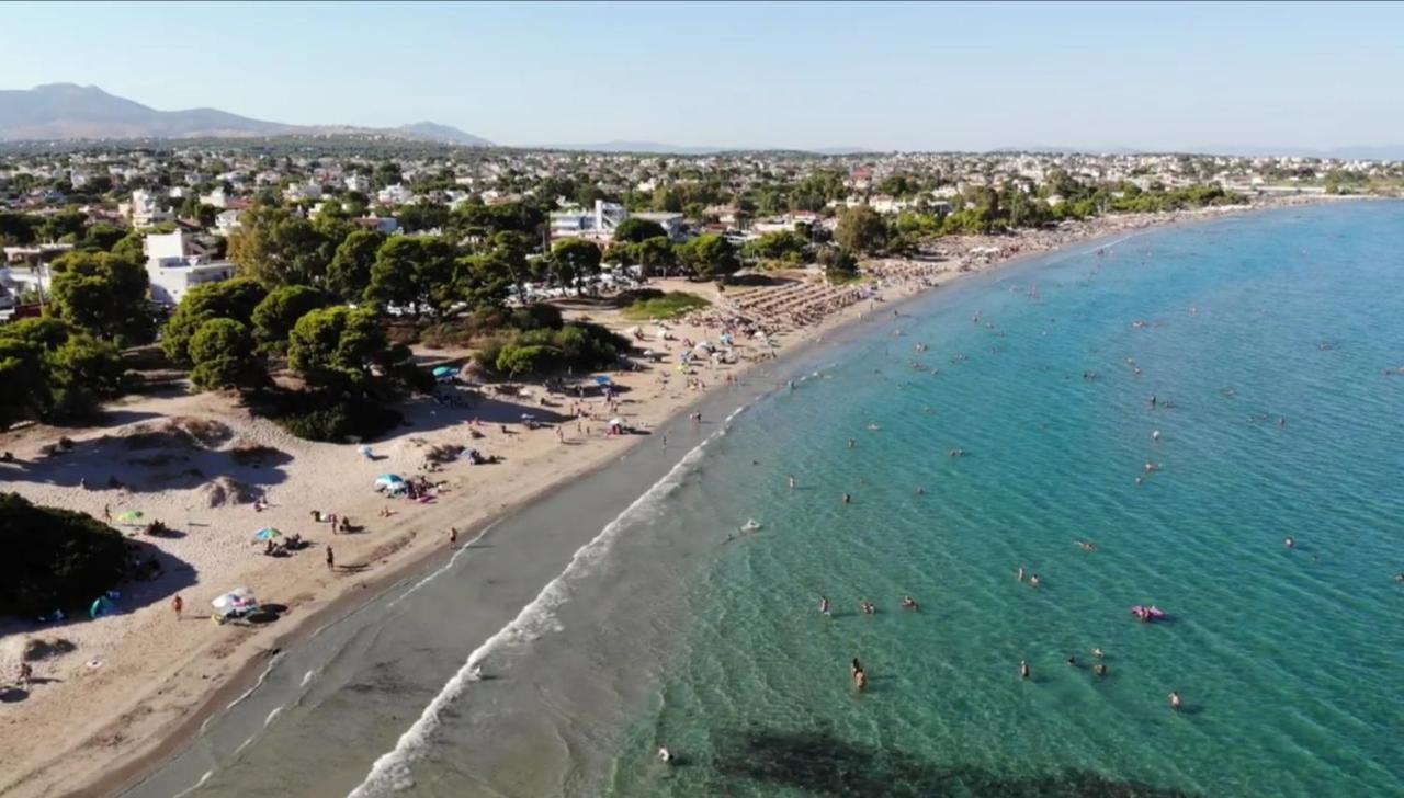 Athens Villa Artemis Pool Sea Airport מראה חיצוני תמונה