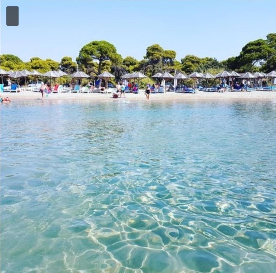 Athens Villa Artemis Pool Sea Airport מראה חיצוני תמונה